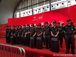 光谷 山水年华开盘，神卫全程守护