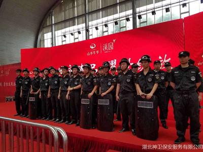 光谷 山水年华开盘，神卫全程守护