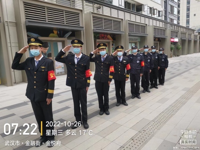 金融街·金悦府