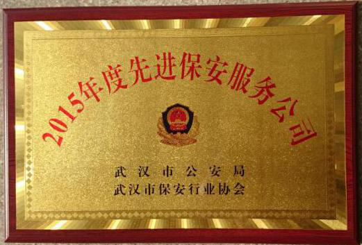 2015年度先进保安服务公司